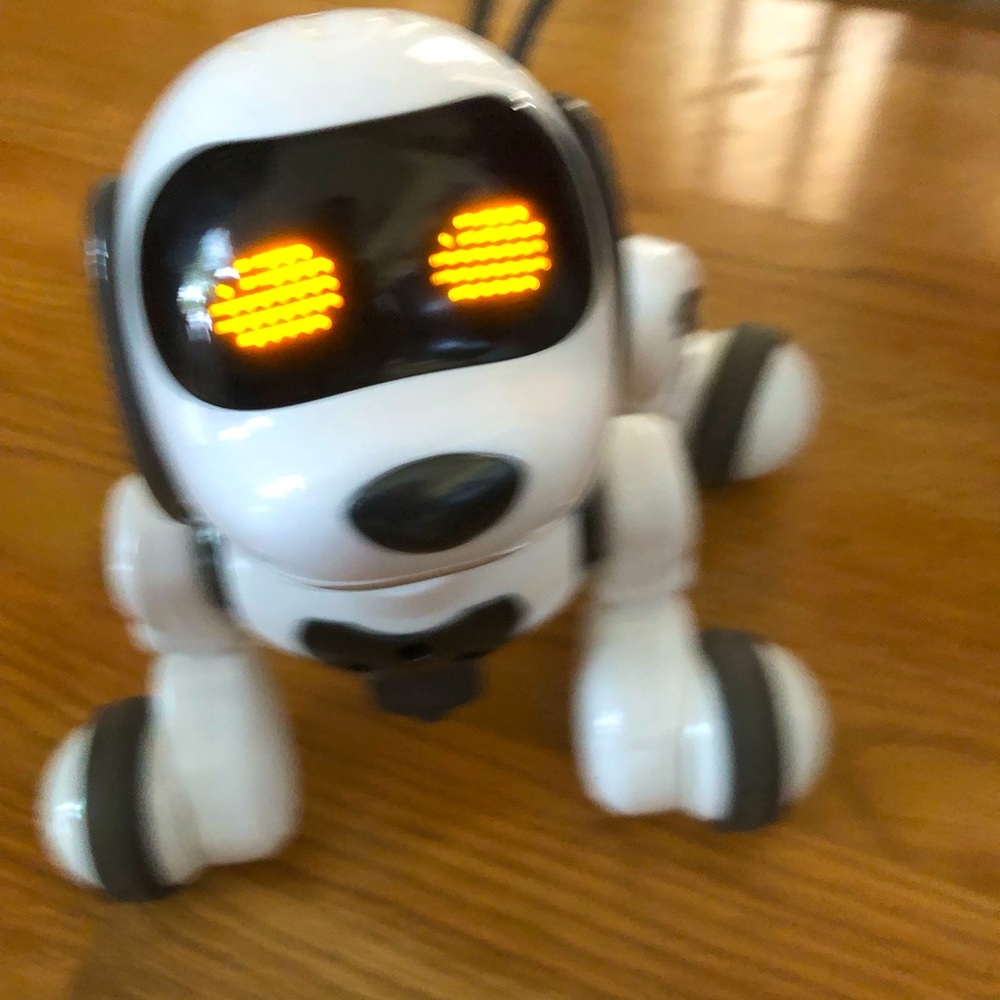 RC Robot Dog